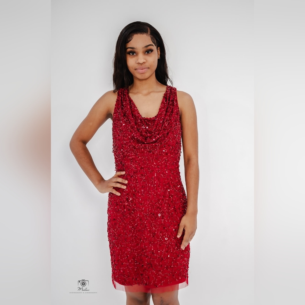 Adrianna Pappel Womens Sequined Knee Cocktail Dress| Cranberry